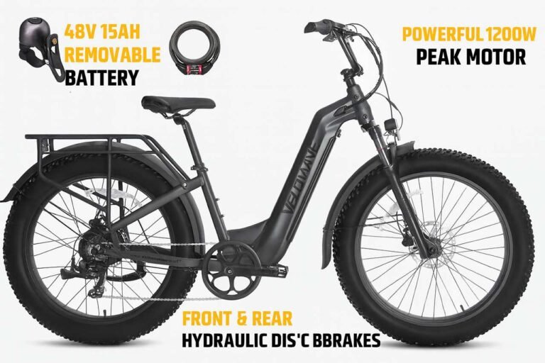 VELOWAVE Ranger Step-Thru Electric Bike Review