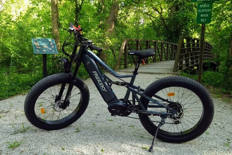 FREESKY Swift Horse Pro Electric Bike Review
