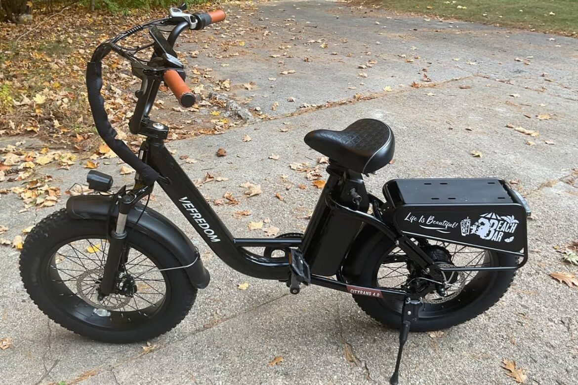 Recensione della bici elettrica Velectrec Cityrang 4.0