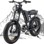 Riding’times Z8 Electric Fat Tire Bike Review
