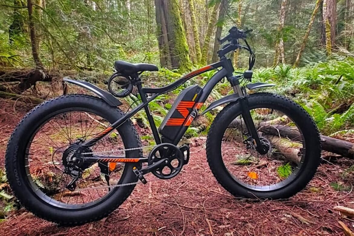 Bike elettrica a pneumatici grassi ZDZA ZA01