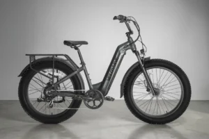 VELOWAVE Ranger Step-Thru Review: Fat Tire E-Bike for Mixed Terrain