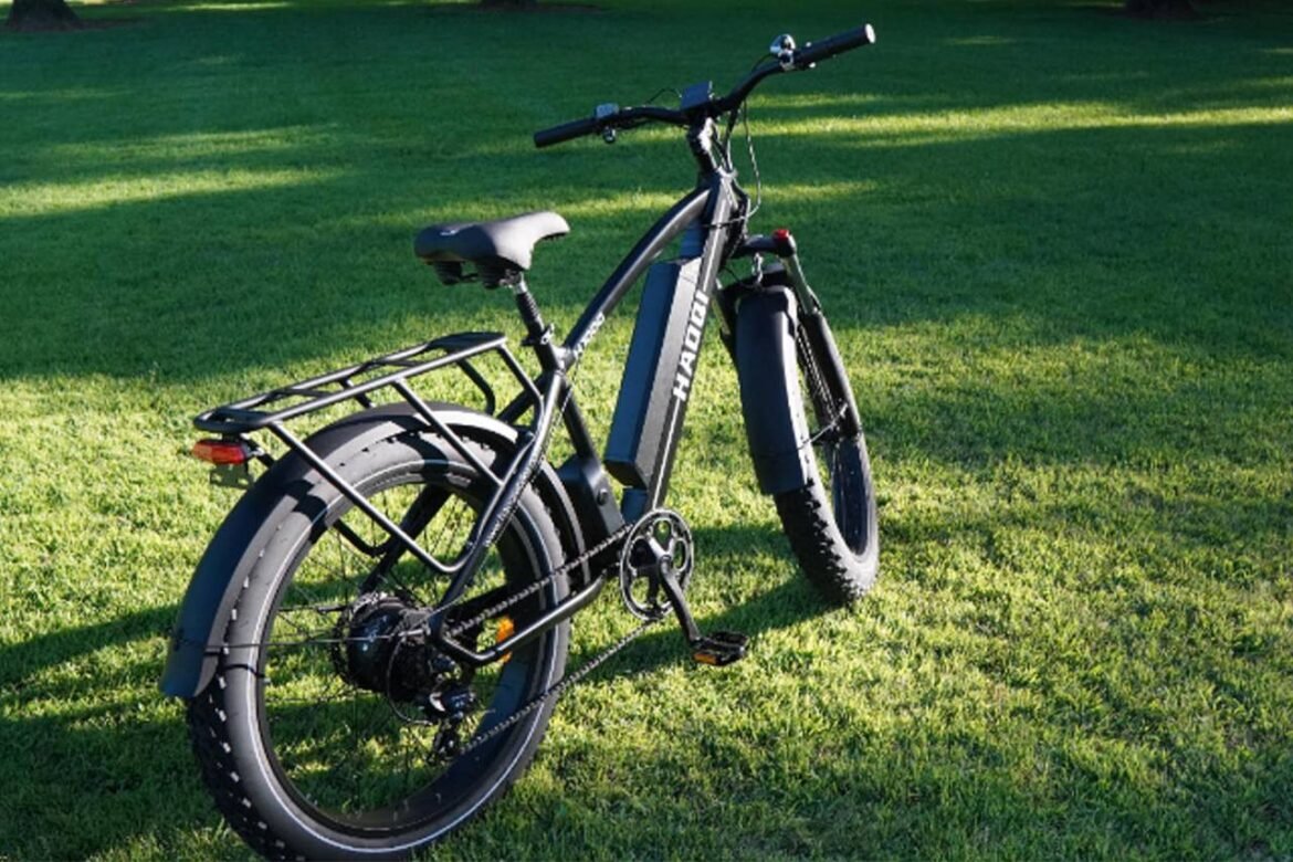 Revisione della bici elettrica Haoqi Leopard Pro: vale la pena questa ebike da 750W?