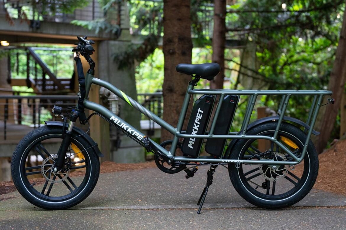 Recensione della bici elettrica Mukkpet Stepwagon: e-bike Top Cargo?
