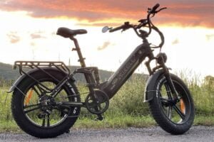 FREESKY Electric Bike Reviews