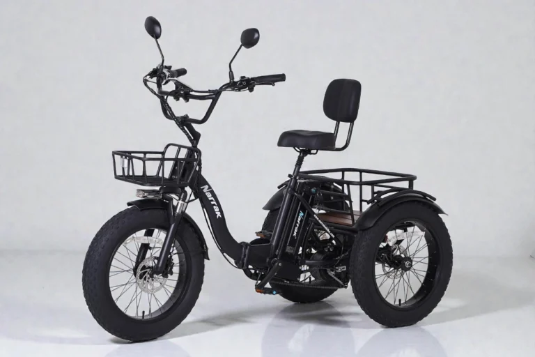 Narrak S180 Folding Electric Tricycle Review