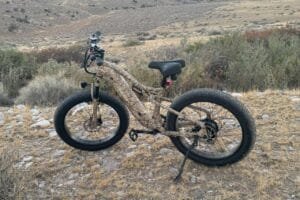 PUCKIPUPPY Labrador Electric Bike Review
