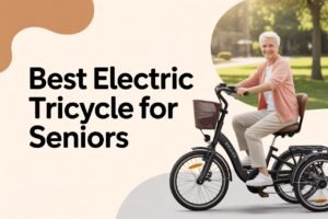Best Electric Tricycle for Seniors