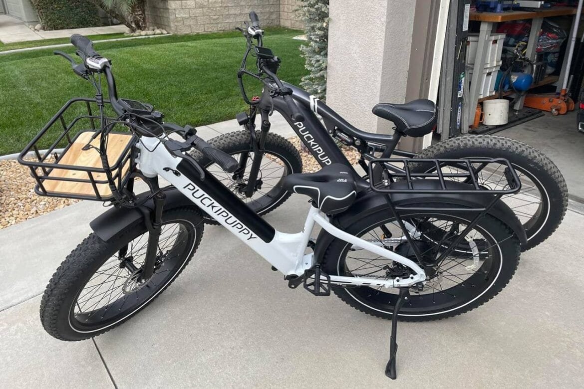 Recensioni di bici elettriche puckipuppy