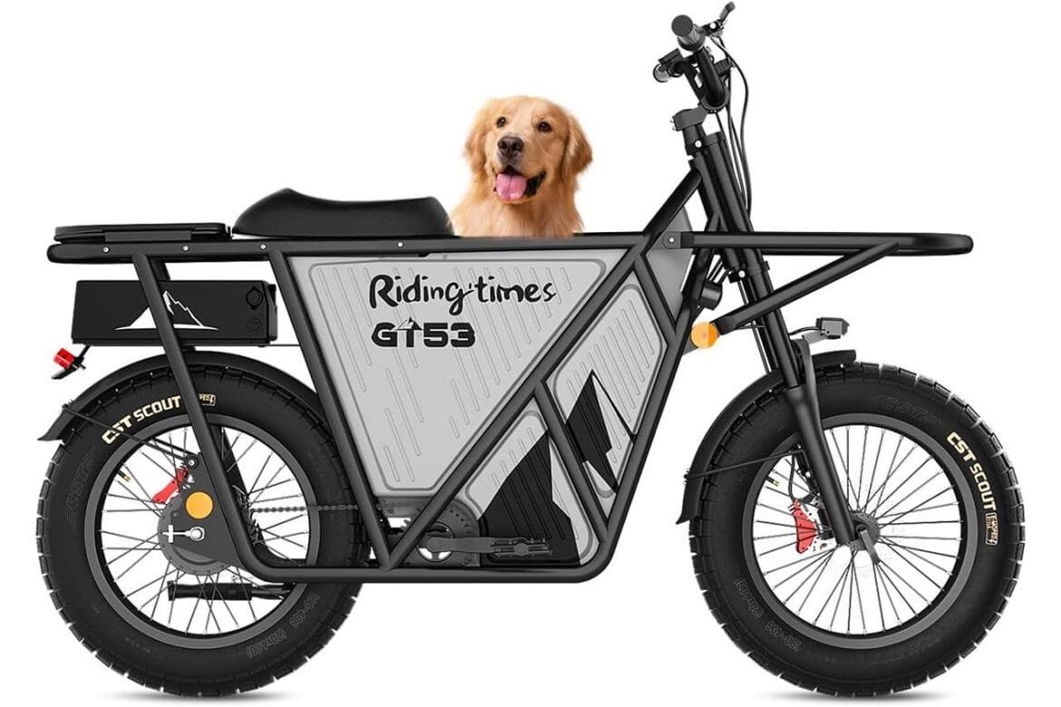 REVISIONE DI BIKE ELETTRICO GT53 GT53
