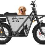 Riding'times GT53 Electric Cargo Bike Review