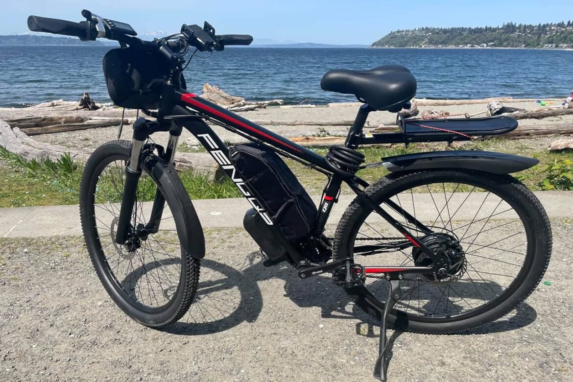Fengqs Q8 Bike eléctrico: revisión de velocidad y estilo llena de energía