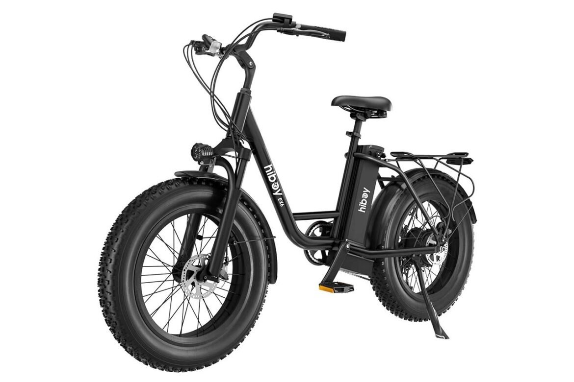 Revisione della bici elettrica Hiboy Ex6