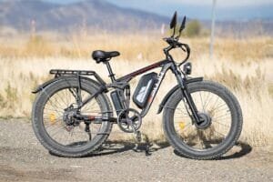 PUJH PU3 Electric Bike Review