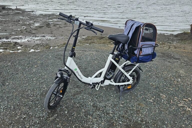 Isinwheel U4 Folding Electric Bike Review