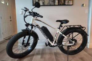 Funhang EB-S1 Fat Tire Electric Bike Review—Performance, Pros, and Cons Funhang EB-S1 Electric Bike Review