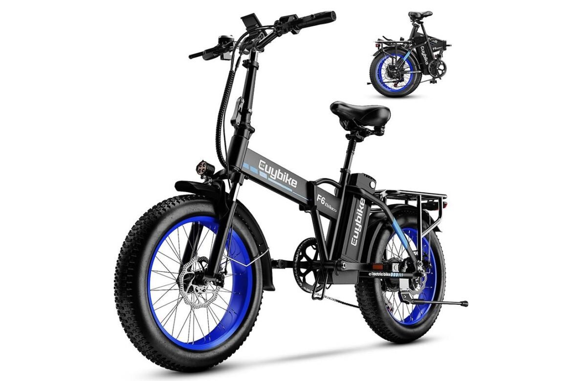 Revisione della bici elettrica Euy F6