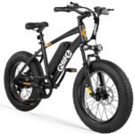 Qlife Racer Fat Tire Electric Bike Review