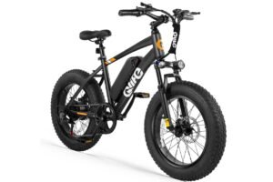 Qlife Racer Fat Tire Electric Bike Review