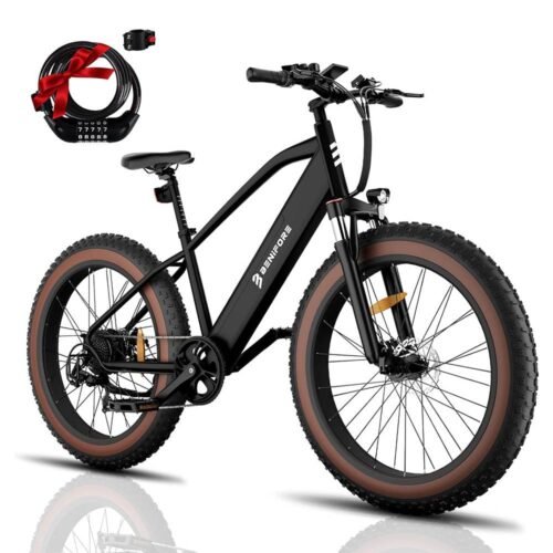 Benifore C26 Electric Bike