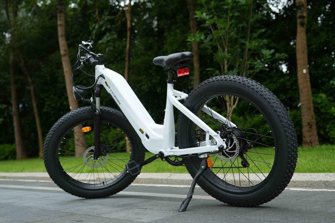 Revisione della bici elettrica Cycverve Cycrown