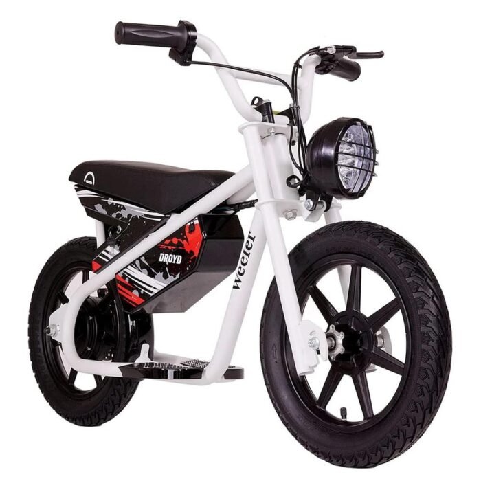 Droyd Weeler Electric Mini Bike
