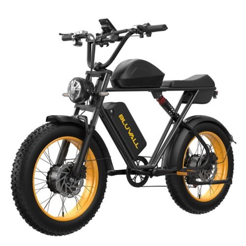 Bluval K10 Electric Bike