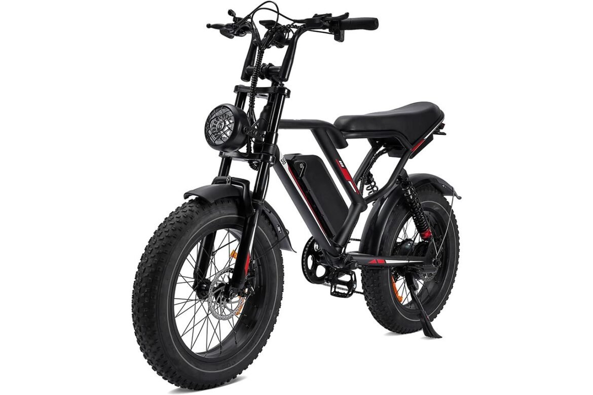 Eggking S8 Electric Bike Review: un puissant vélo de pneu gras de 20 pouces testé