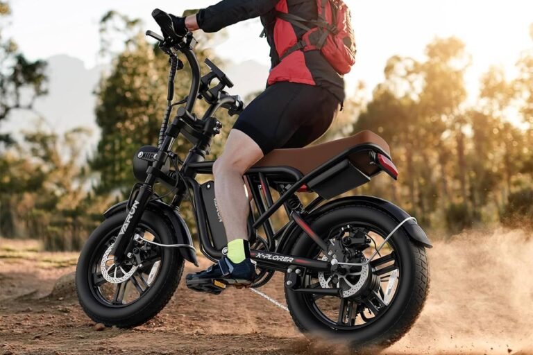 VARUN X-Plorer Electric Bike Review