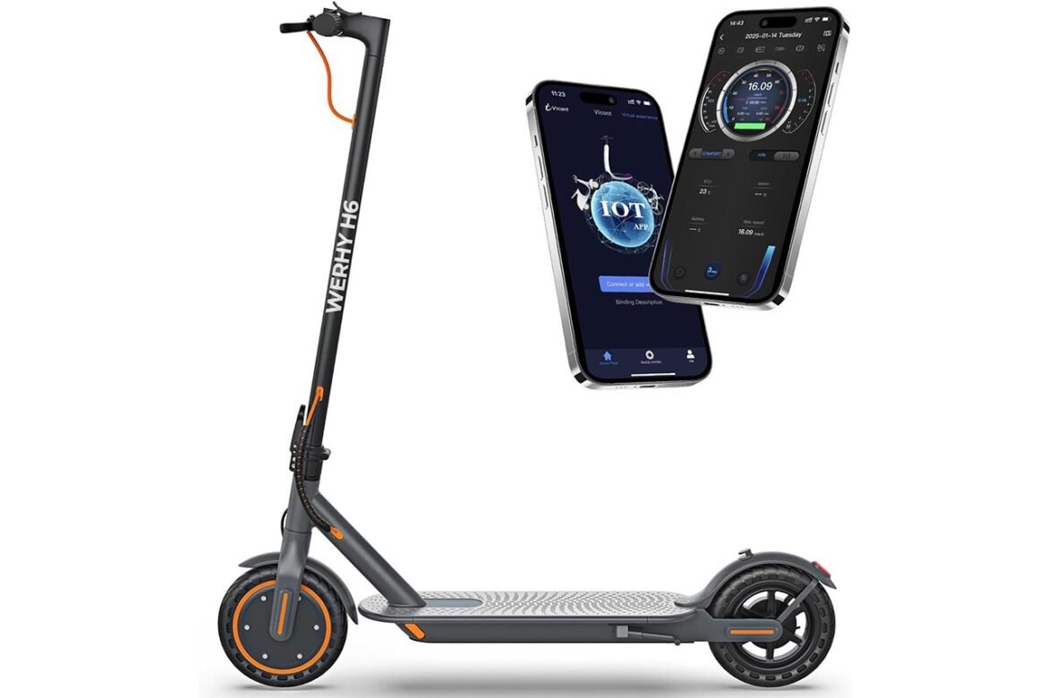 Revisione dello scooter elettrico Werhy H6