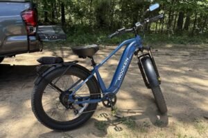 Is the Wooken GALE the Best Under-$500 Fat-Tire E-Bike? Our Verdict