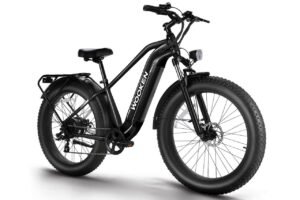 Wooken ‎GALE Electric Bike Review
