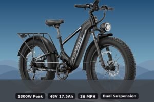 Aipas M2 Pro Electric Bike Review