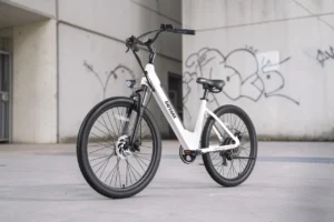 Gotrax Dolphin Electric Bike Review
