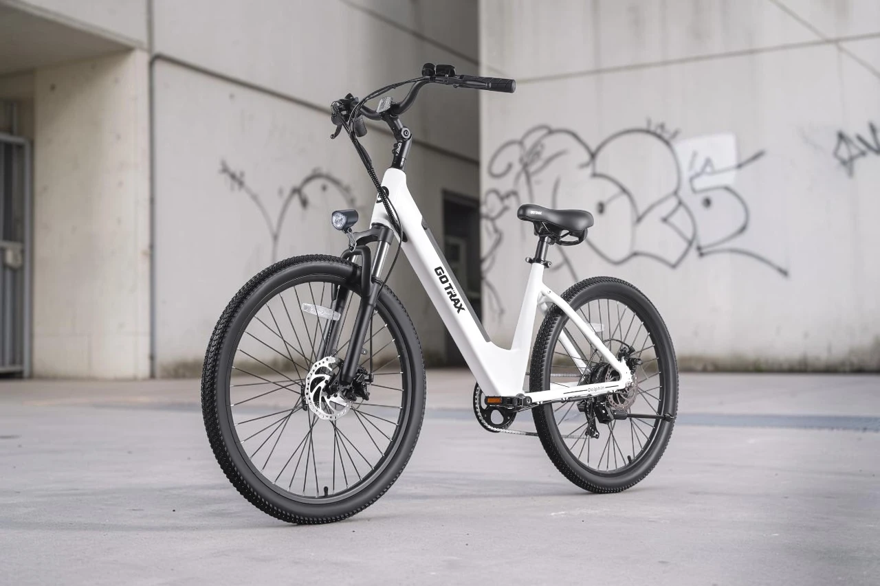 Gotrax Dolphin Electric Bike Review