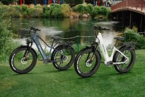 KingBull Discover 2.0 & ST 2.0 Review: Long-Range, Heavy-Duty Fat Tire E-Bikes Kingbull Discover E-Bike Review