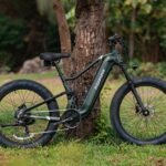 Puckipuppy Boxer Electric Bike Review