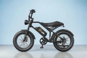 Qlife Spark Electric Bike Review: Is It Worth Buying?