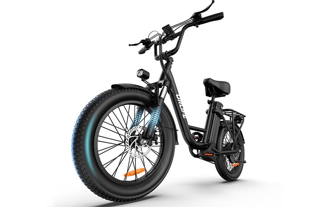 URLIFE E20 20-inch fat tire electric bike