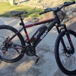 QNUT Victor Electric Bike Review
