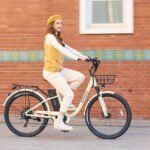 Is the Viribus BZ1 the Best City Cruiser? 500W Motor, 624Wh Battery, 20 mph
