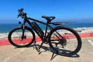 Is the AYOLNY M10 Worth It? Our Hands-On Class-2 E-Bike Review
