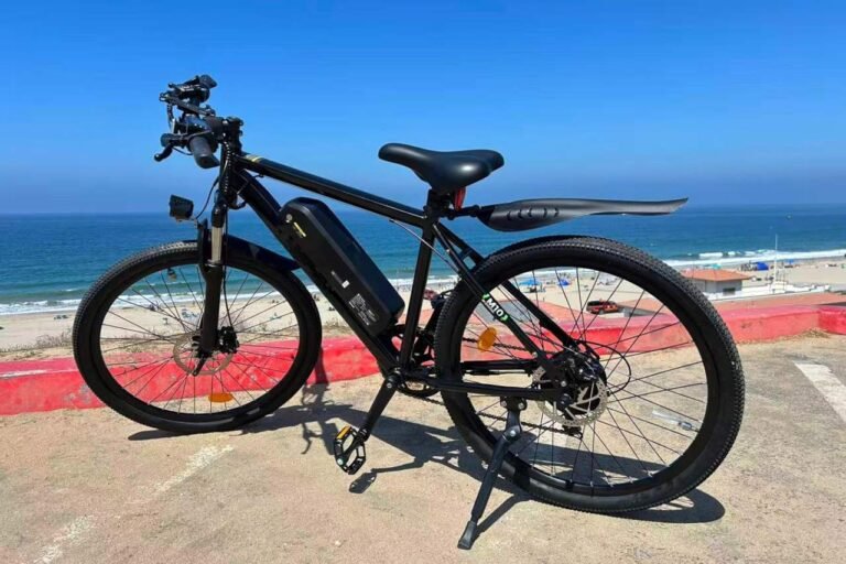 Is the AYOLNY M10 Worth It? Our Hands-On Class-2 E-Bike Review