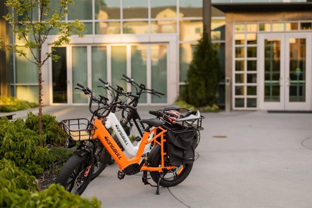 Kingbull Voyager 2.0 Cargo eBike: 750W Power & Dual Batteries Meet Kingbull Voyager 2.0—Long-Range Cargo eBike for Work & Family