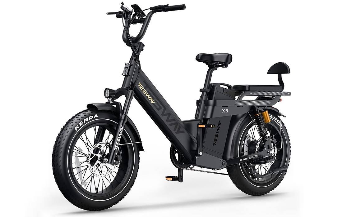 Is the TESWAY X5 PRO the Best Value Long-Range Cargo eBike Yet? TESWAY X5 PRO Electric Bike product image