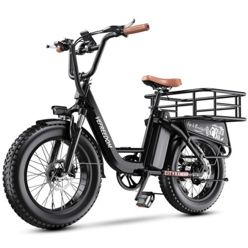 EUY Cityrang 4.0 E-Bike EUY CityRang 4.0 Tested: Speed, Range, Comfort and Carrying Power