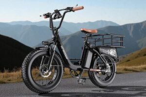 Is the EUY CityRang 4.0 the Best Value Cargo-Ready Fat-Tire Ebike? Is the EUY CityRang 4.0 the Best Value Cargo-Ready Fat-Tire Ebike?