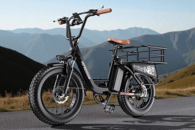 Is the EUY CityRang 4.0 the Best Value Cargo-Ready Fat-Tire Ebike? Is the EUY CityRang 4.0 the Best Value Cargo-Ready Fat-Tire Ebike?