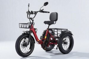 KAKIGO Electric Tricycle Review: Comfortable, Stable 3-Wheel Cargo E-Bike KAKIGO Electric Tricycle Review: Long-Range, All-Terrain 3-Wheel E-Trike