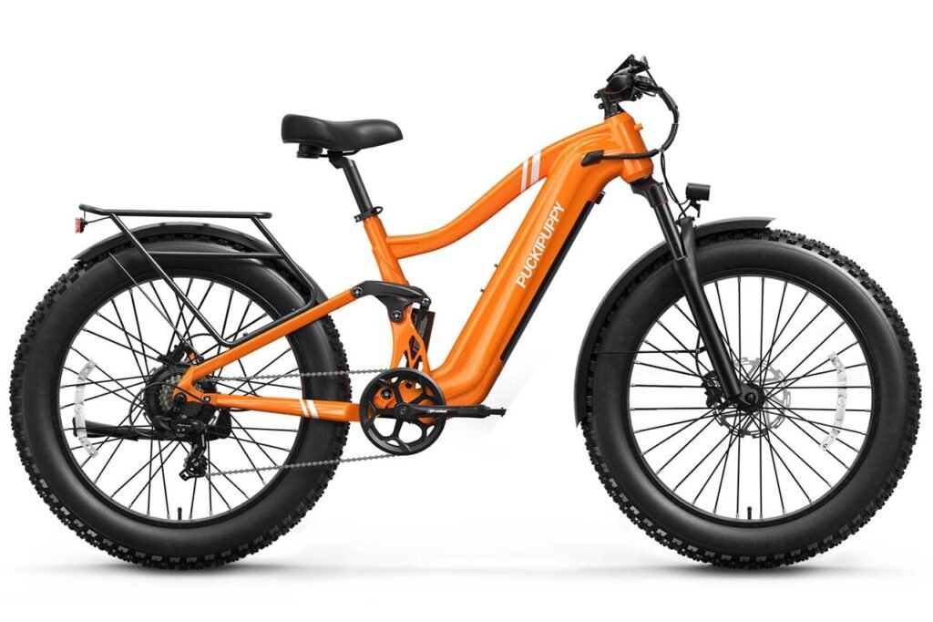 Boxer Ebike